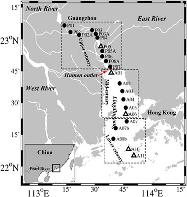 Distribution and Activity of Ammonia-Oxidizers on the Size-Fractionated Particles in the Pearl River Estuary